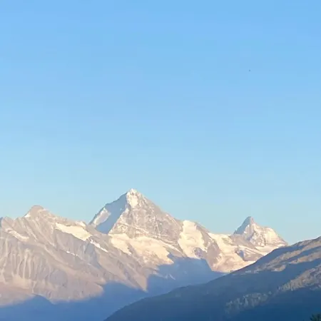 2000 - Velan 319 - 2,5 Pieces - 2