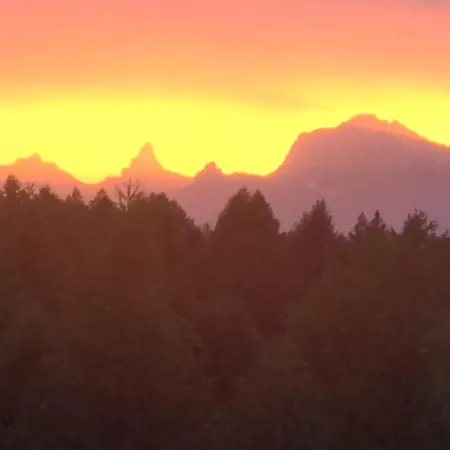 2000 - Velan 319 - 2,5 Pieces - 2 *