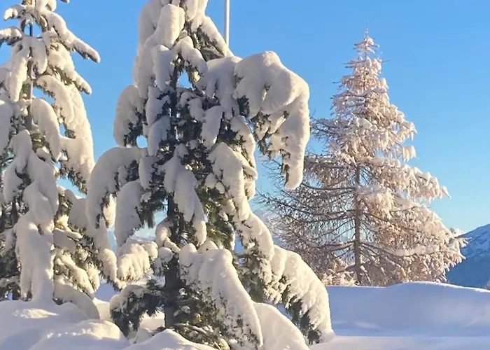 2000 - Vélan 319 - 2,5 Pièces - 2 Appartamento *